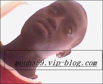 vip-blog de mouha.m